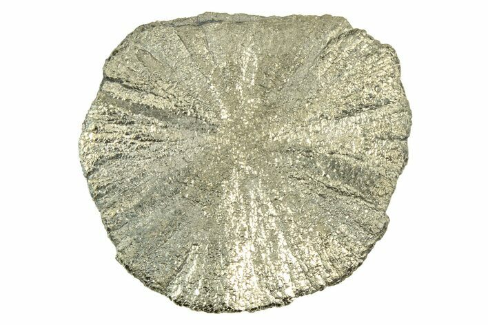 Radiant Pyrite Sun - Sparta, Illinois #342594